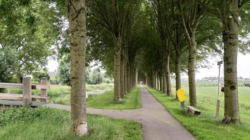 Bomen Zijdsewetering Noord