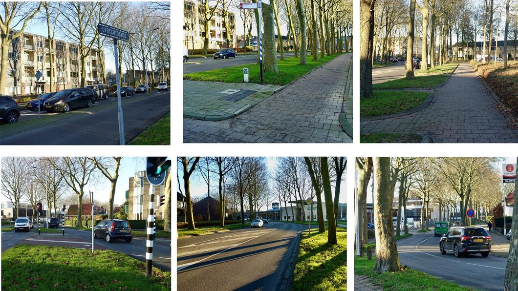 Collage van foto's van bomen aan de Utrechtseweg