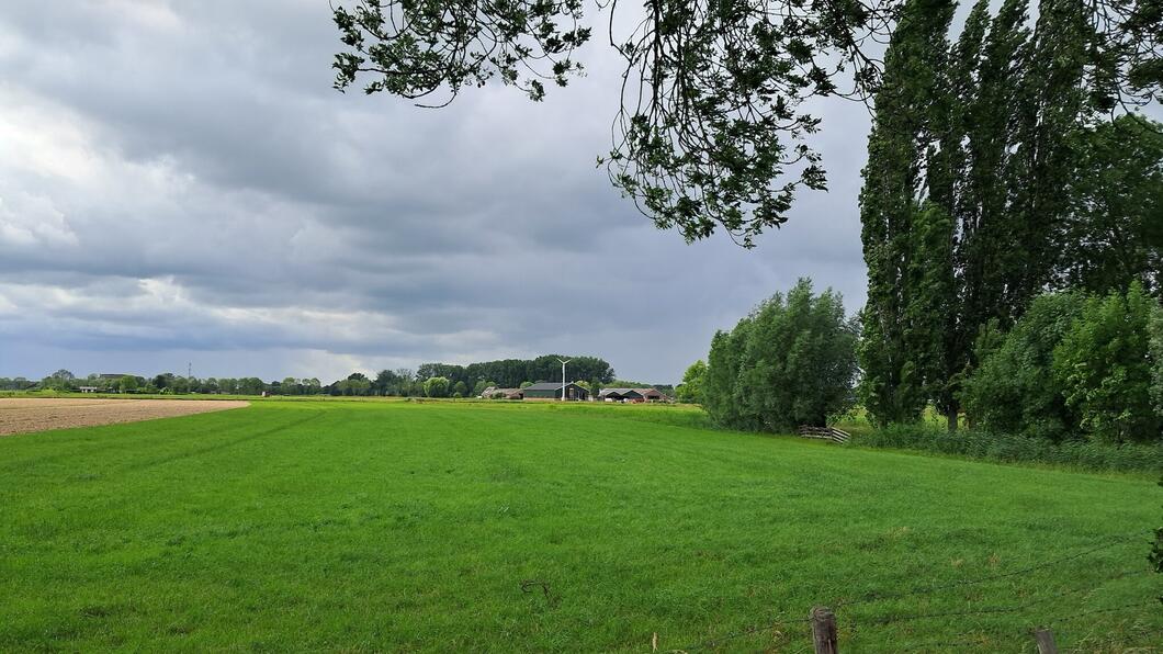 foto Kromme IJsselgebied met bomenrand