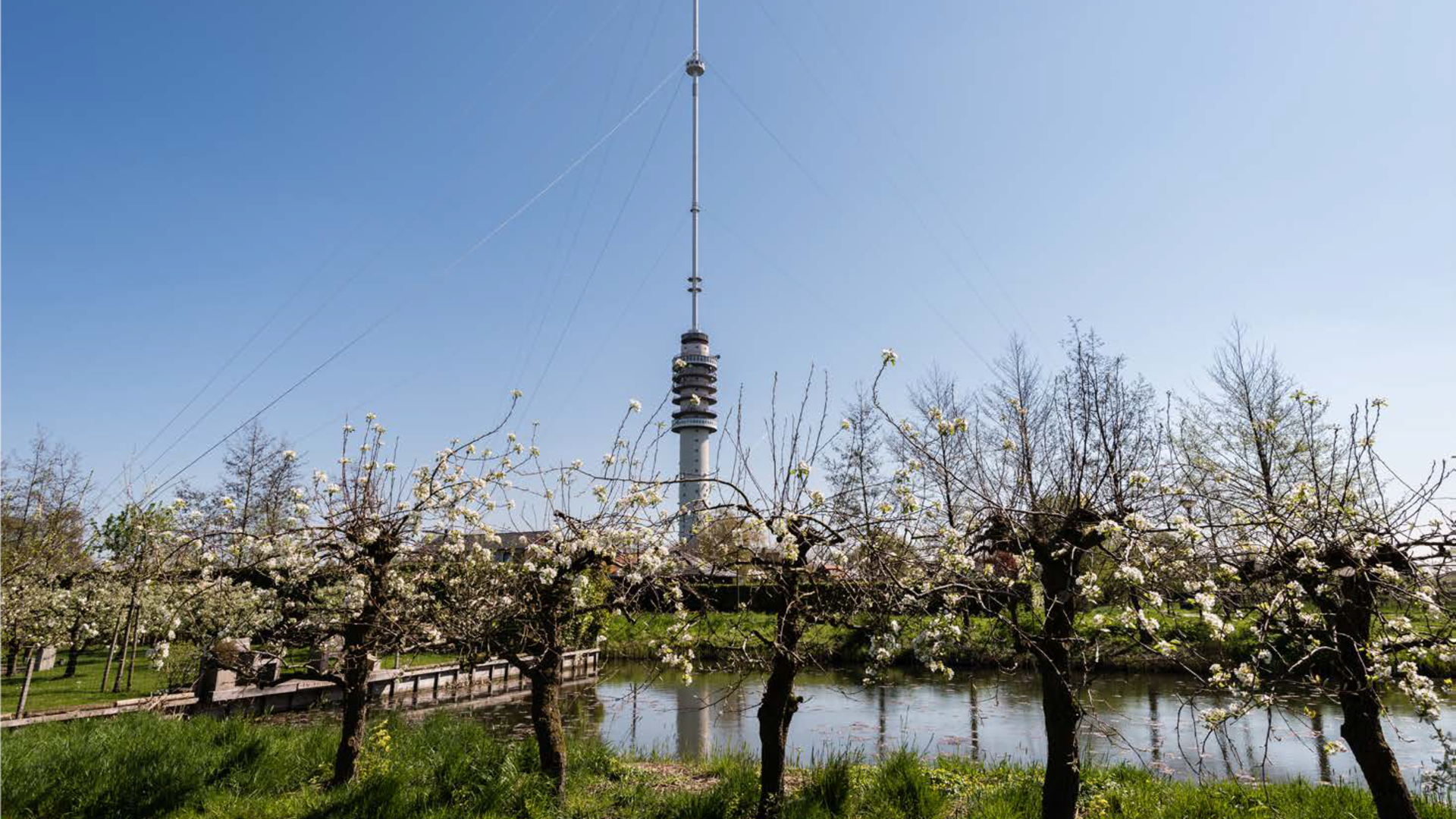 Foto fruitbomen met zendmast op achtergrond